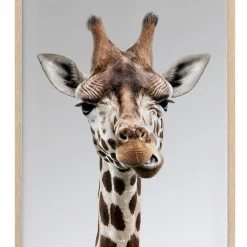 Best Sale 👍 Urban Road Gerry Print Oak Frame 👍