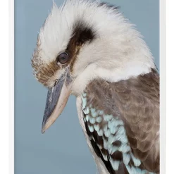 Best reviews of ✨ Urban Road Kookaburra White Frame 🎉