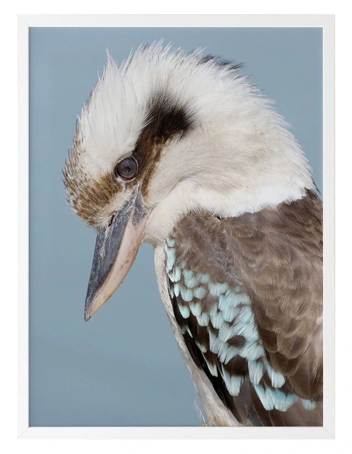 Best reviews of ✨ Urban Road Kookaburra White Frame 🎉