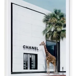 Best Pirce ⌛ Urban Road Rodeo Drive White Frame ✨