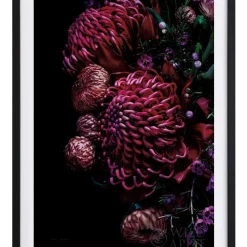 Best reviews of ⭐ Urban Road Waratah Bouquet Black Frame ✔️