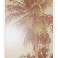Budget ⭐ Urban Road Sunkissed Palm Print White Frame 😀