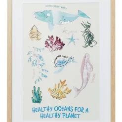 Deals π₯ Australian Marine Conservation Society Healthy Oceans Framed Print A2 44.6x62cm π