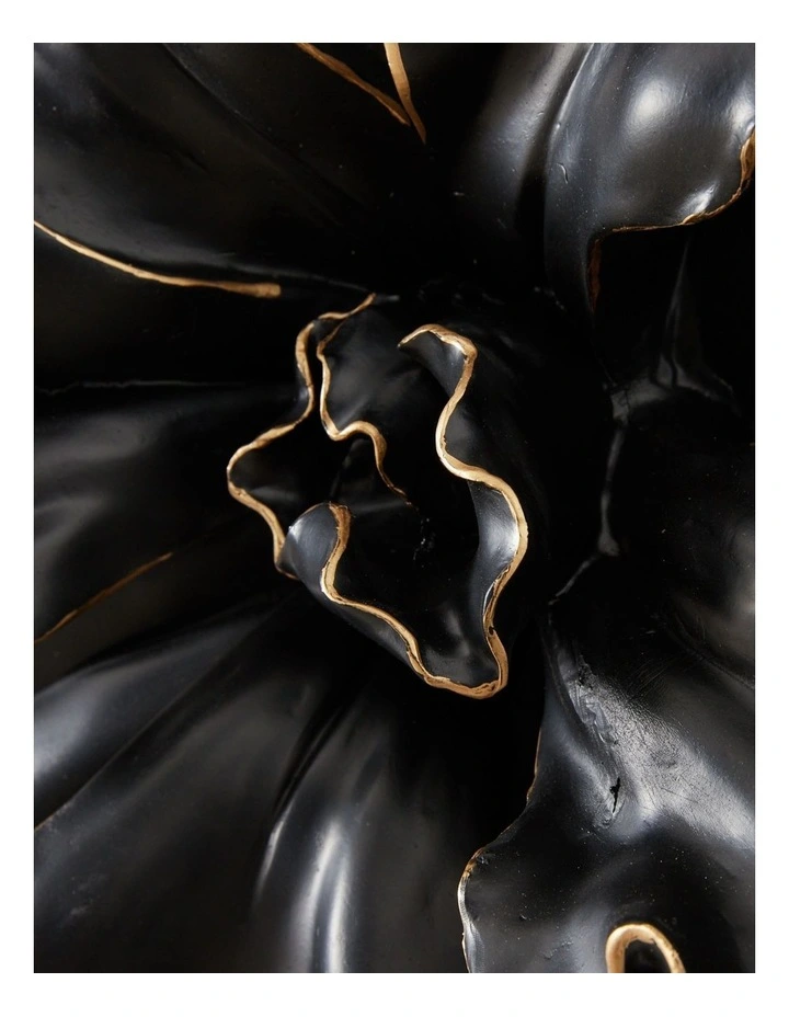 Best Sale ⌛ Koala Living Flower Wall Plaque In Black ???? 4 Best Sale ⌛ Koala Living Flower Wall Plaque In Black ???? - Image 2