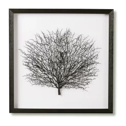 Best deal ???? Koala Living Black Sea Fan Shadow Box ????