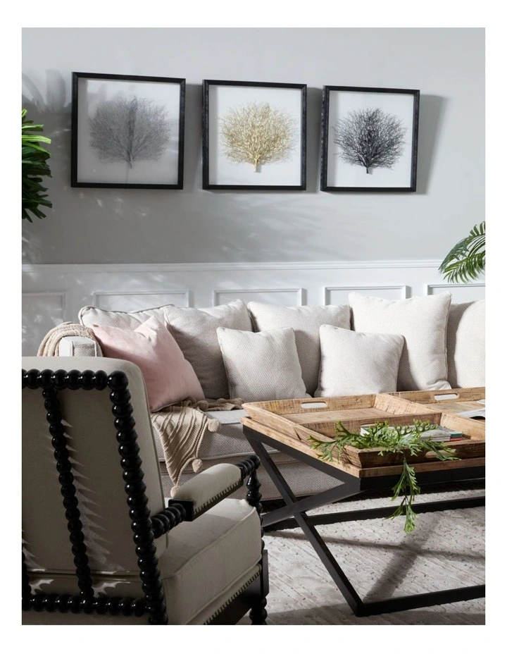 Best deal ???? Koala Living Black Sea Fan Shadow Box ???? 5 Best deal ???? Koala Living Black Sea Fan Shadow Box ???? - Image 3